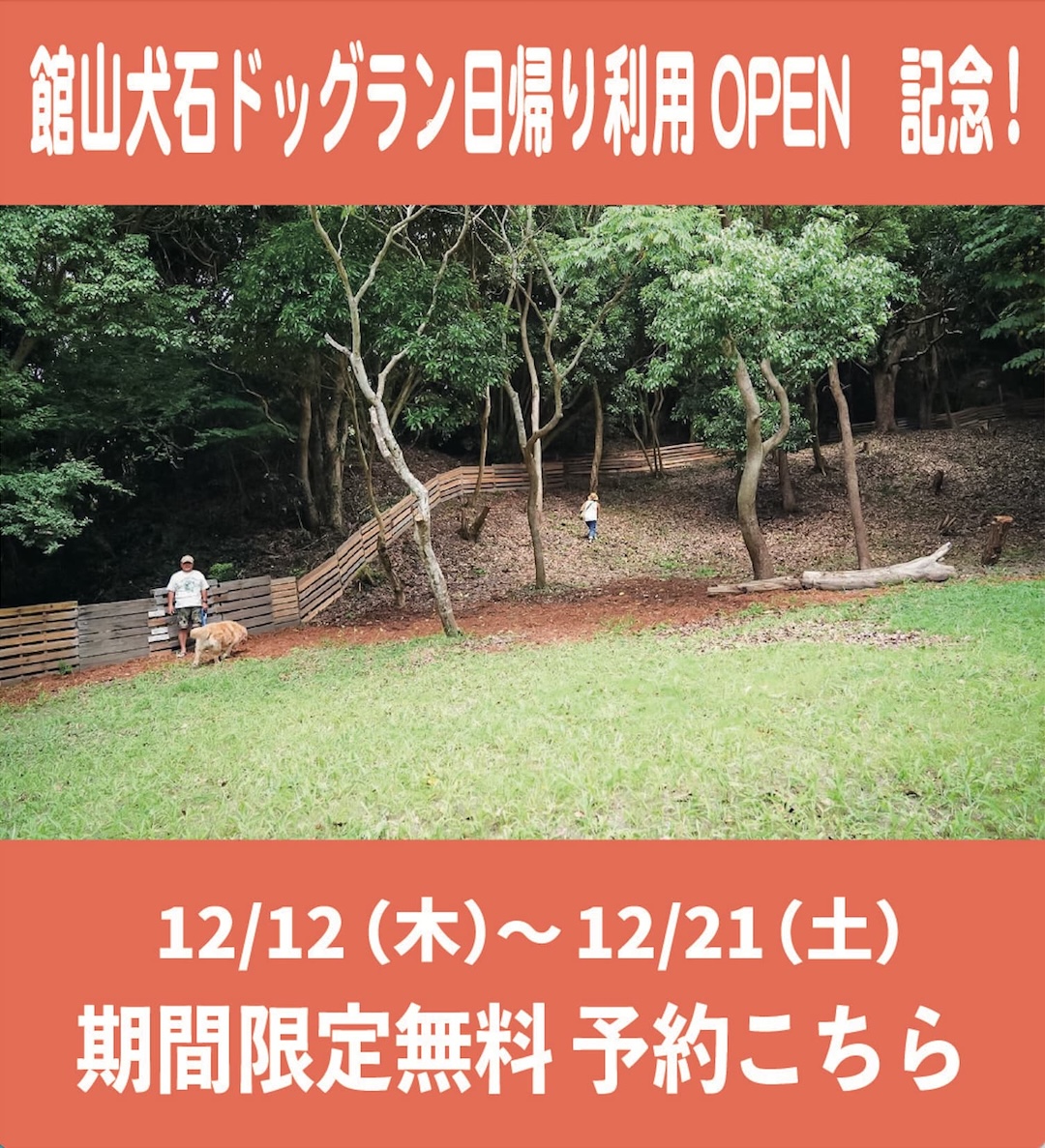 THE FOREST DOG RUN 無料