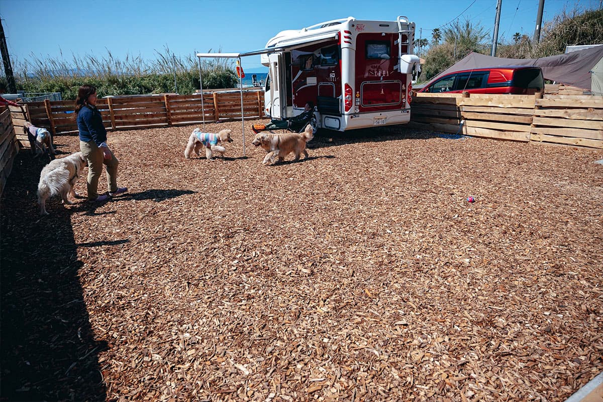 愛犬と泊まれるキャンプ場 DOG DEPT GARDEN CAMP 安房白浜 キャンプサイト　スタンダード