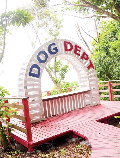 フォトスポット多数