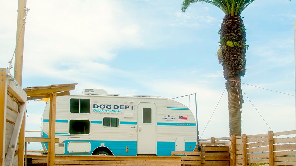 愛犬と泊まれるキャンプ場 DOG DEPT GARDEN CAMP 安房白浜 ビーチフロント