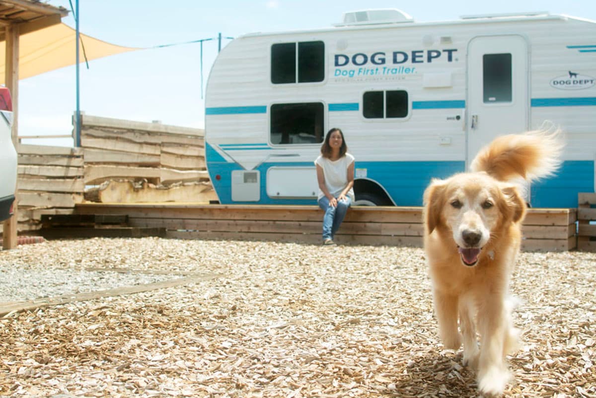 愛犬と泊まれるキャンプ場 DOG DEPT GARDEN CAMP 安房白浜 キャンプサイト